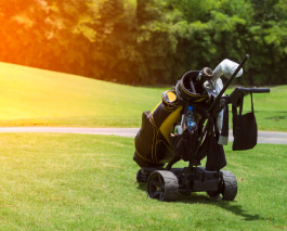 Golf Pull Cart